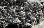 نمایشی بینظیر از حیات وحش؛ هزاران کل یالدار و یک رودخانه وحشی نمایشی بینظیر از حیات وحش؛ هزاران کل یالدار و یک رودخانه وحشی
